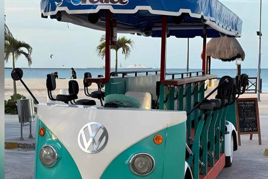 Tour Playero + Recorrido Cervecero